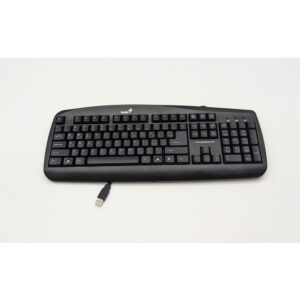 Клавиатура 106OC186, Genius KB 110, USB