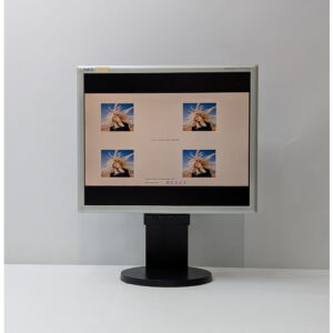 Монитор LCD1970NXp, NEC, 19", 1280 × 1024, имеются следы эксплуатации